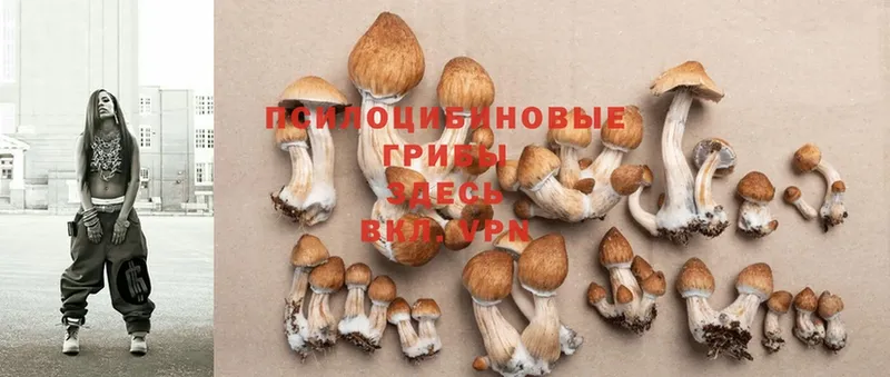 Псилоцибиновые грибы MAGIC MUSHROOMS  как найти закладки  Удачный 